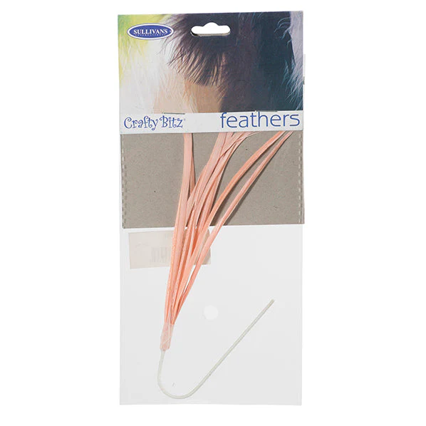 Feather Biot - Image 10