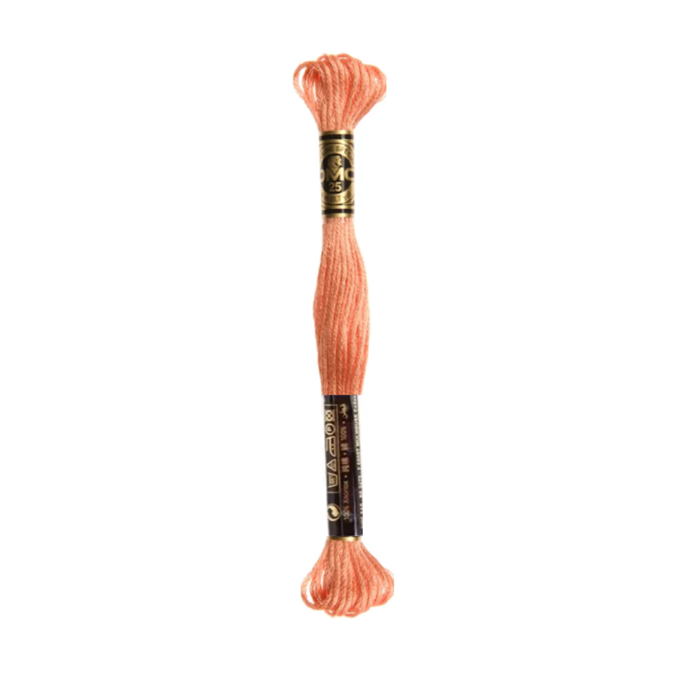 DMC Stranded Cotton Embroidery Thread, 300-399 - Image 17