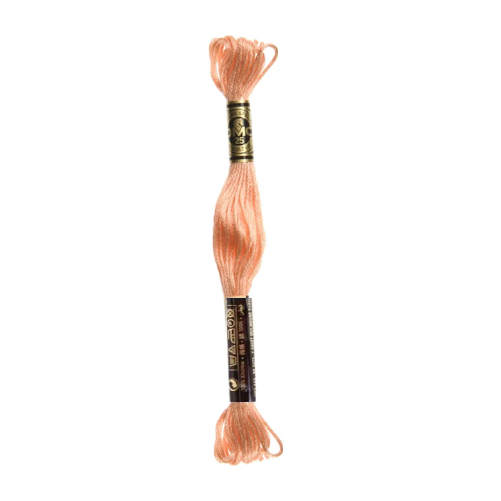 DMC Stranded Cotton Embroidery Thread, 3800-5200 - Image 40