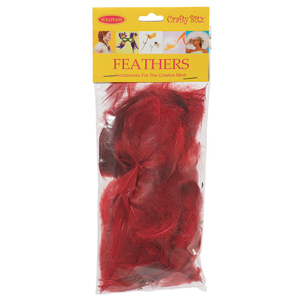Duck Feathers, 2g - Image 4