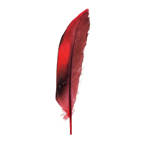 Duck Feather, 13cm