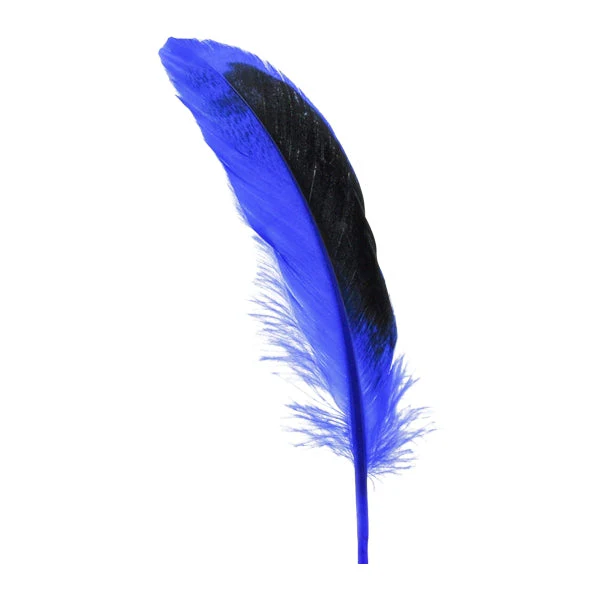 Duck Feather, 13cm - Image 2