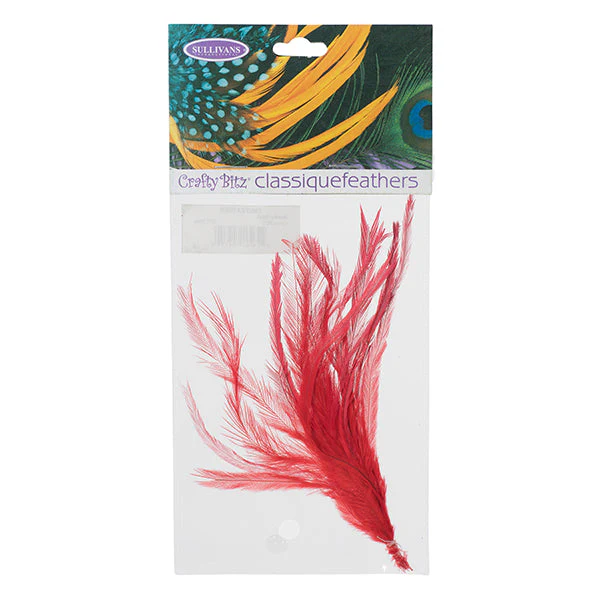 Emu Feathers, 25pc - Image 2