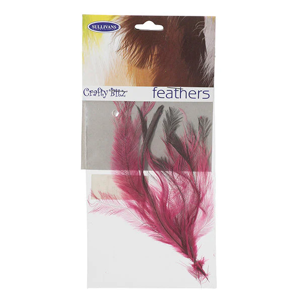 Emu Feathers, 25pc - Image 4