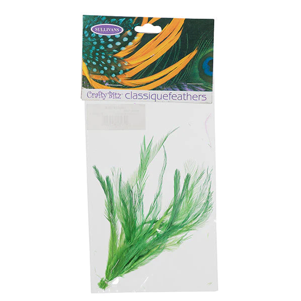 Emu Feathers, 25pc - Image 8